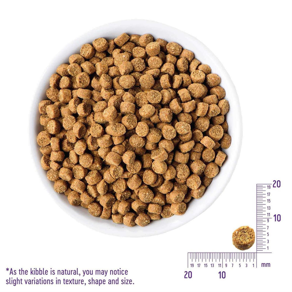 Grain-Free Indoor Salmon & Herring Meal Dry Cat Food H27049
