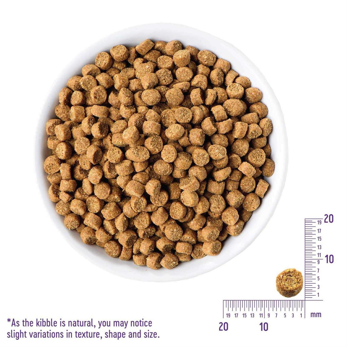 Grain-Free Indoor Salmon & Herring Meal Dry Cat Food H27049