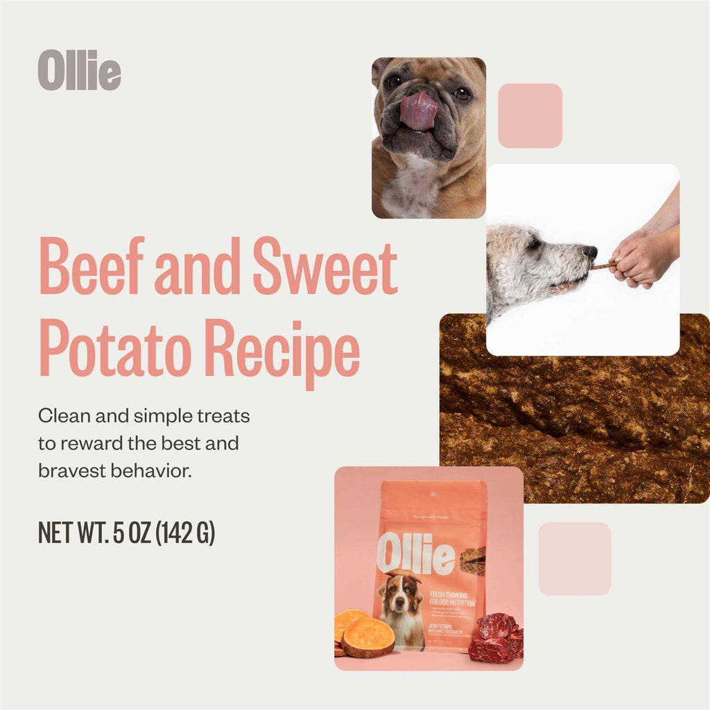 Beef and Sweet Potato Dog Jerky Treats M274