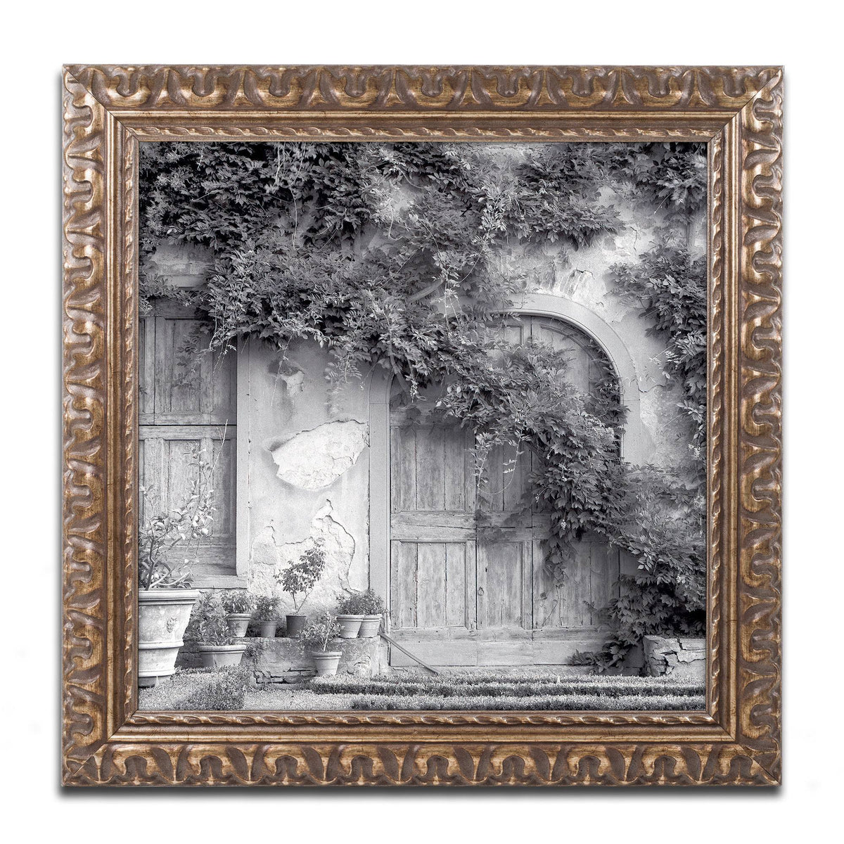 Framed Art Y185