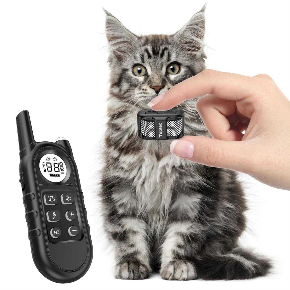 Smallest Lightest Cat Training Collar L957781