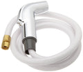 Chrome Spray and Hose Assembly E8184