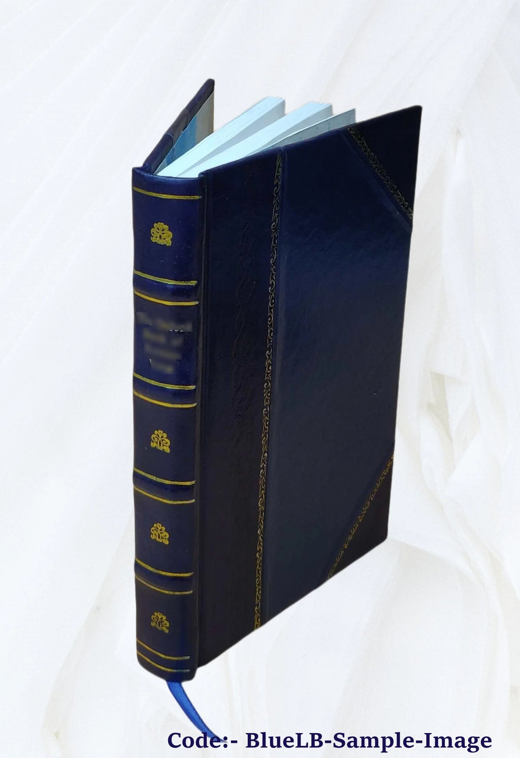 Leather Bound Book B739986
