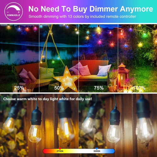2-Pack RGB Outdoor String Lights with S14 Edison Bulbs 96FT D81043