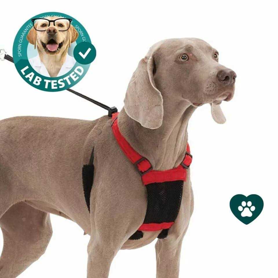 Mesh Non Pull Dog Harness M135175