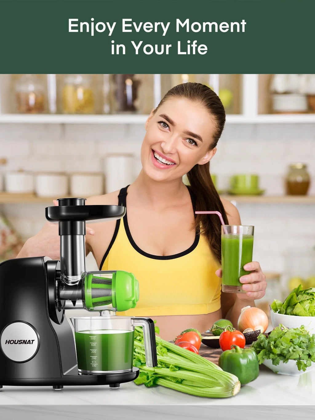 Slow Masticating Juicer Extractor D403