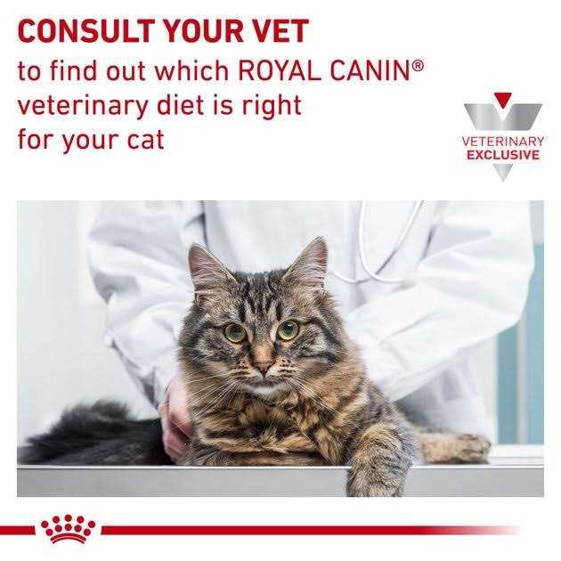 Hydrolyzed Protein Feline Treats X82928