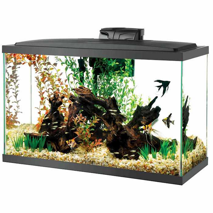 29 Gal Standard Aquarium Y328