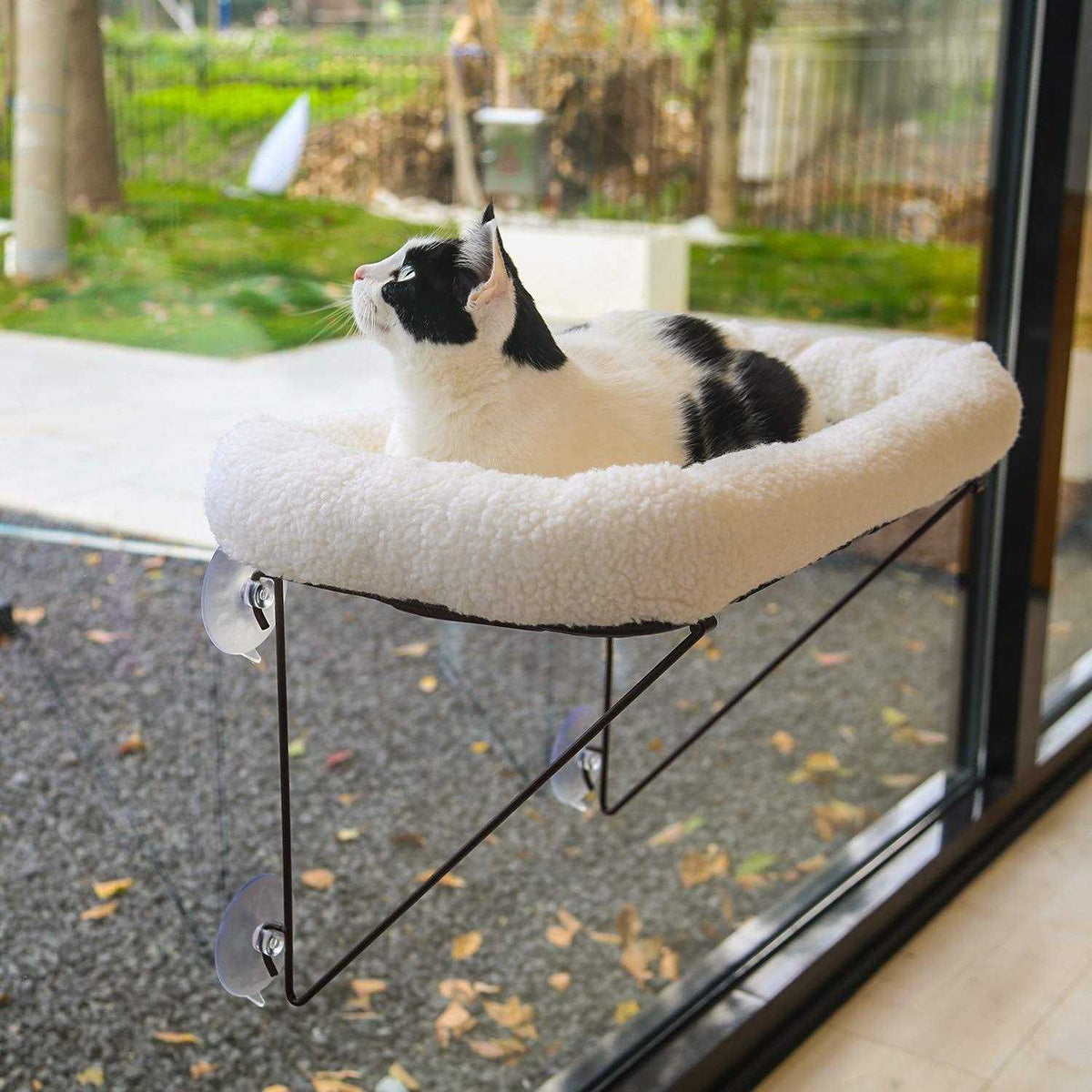 Cat Window Perch Z772