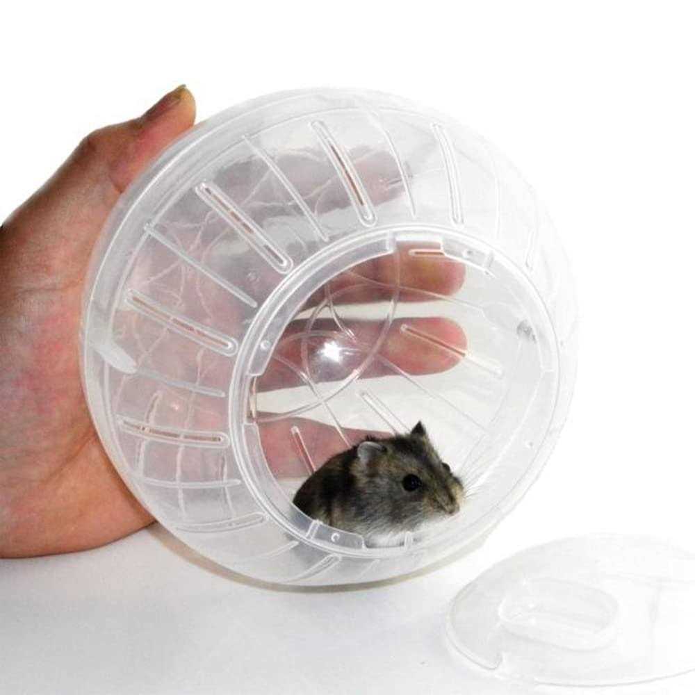 Transparent Hamster Exercise Ball E921903