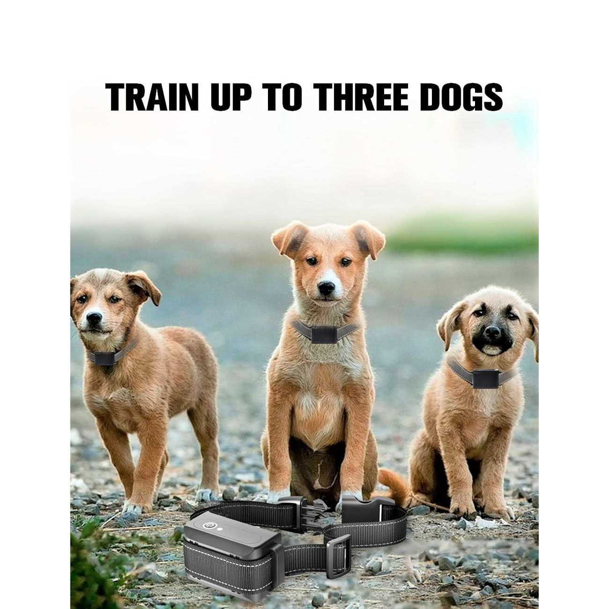 1100 Yard Auto Anti Bark Humane Beep Y210396