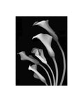 Black and White Canvas Art 35 in. W x 47 in. H P8129