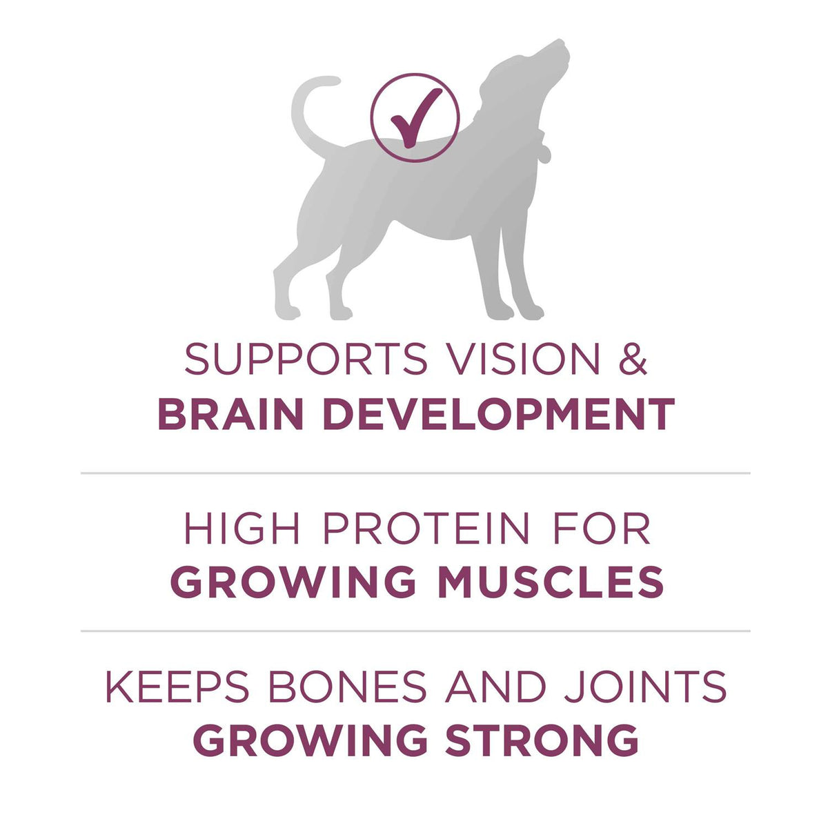 High Protein Dry Dog Food U115
