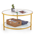 Glass Coffee Table with Storage Shelf Metal Frame Gold P4072