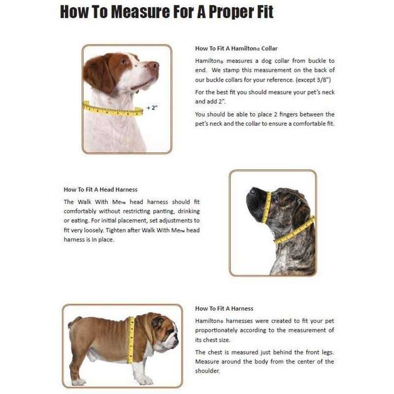 Thick Nylon Dog Collar K78313
