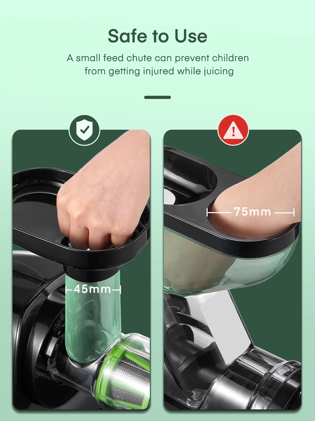 Slow Masticating Juicer Extractor D403