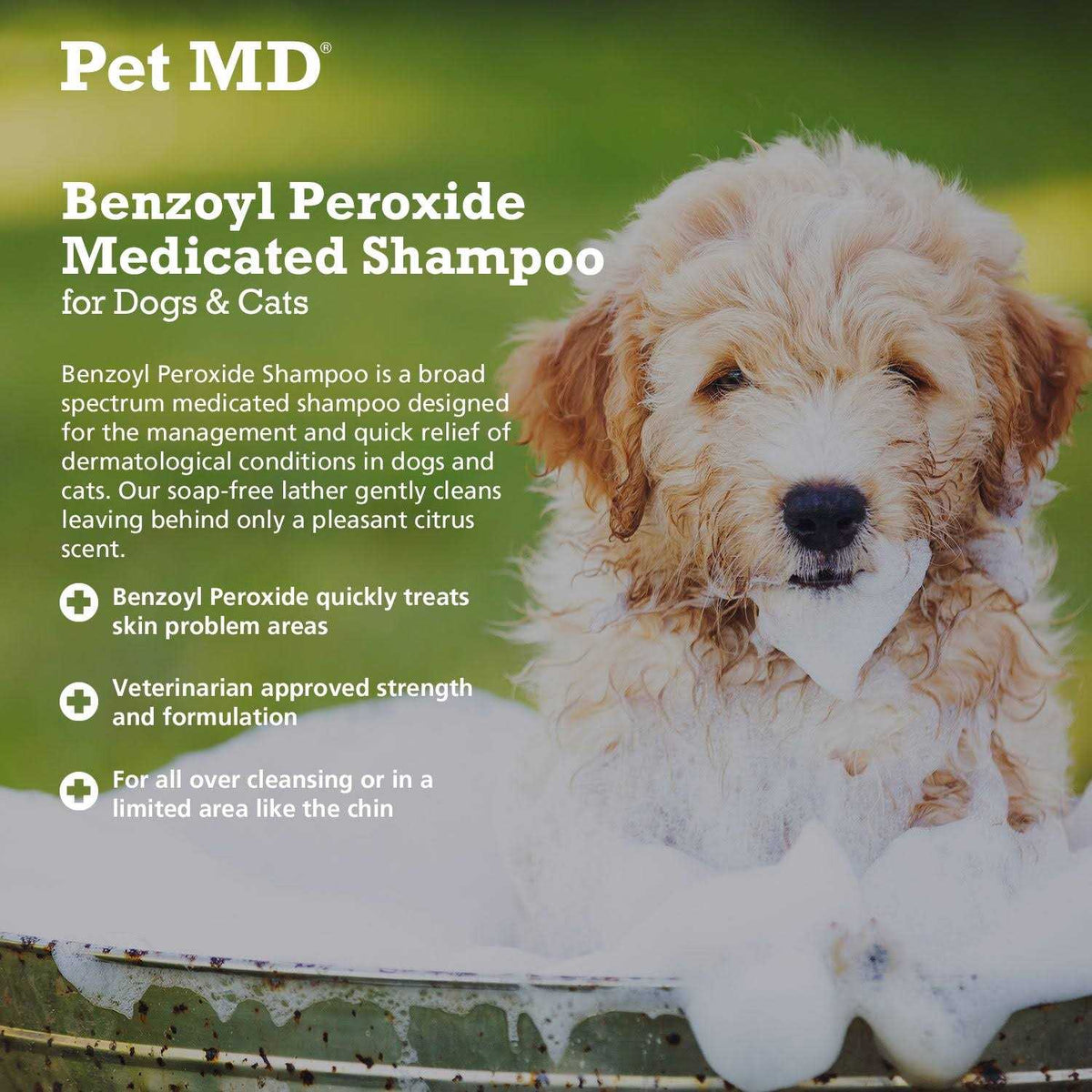 Benzoyl Peroxide Dog & Cat Shampoo M160