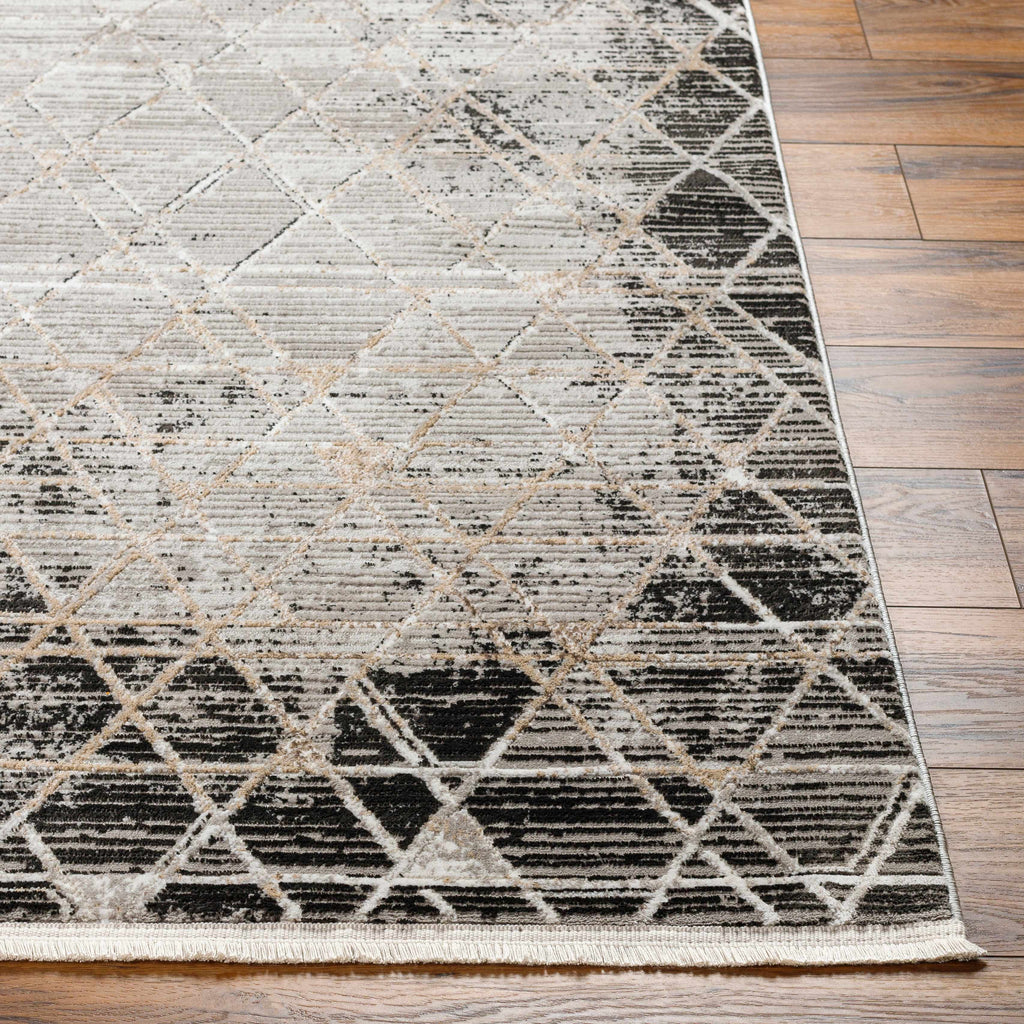 Gray Black 2' x 3' Area Rug F86267