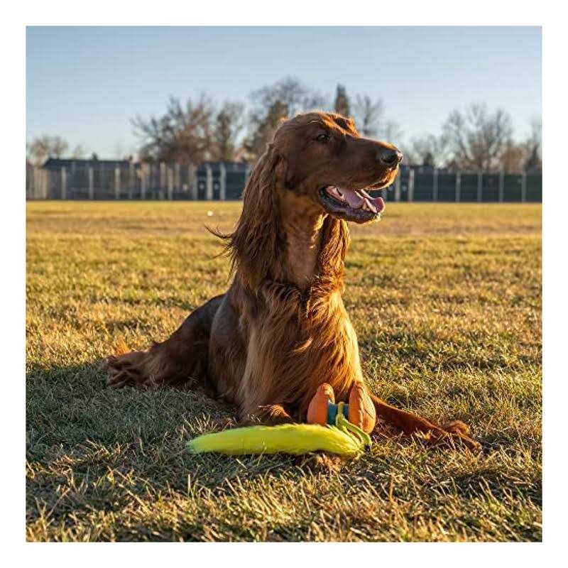 Replacement Tails Dog Toy T509878