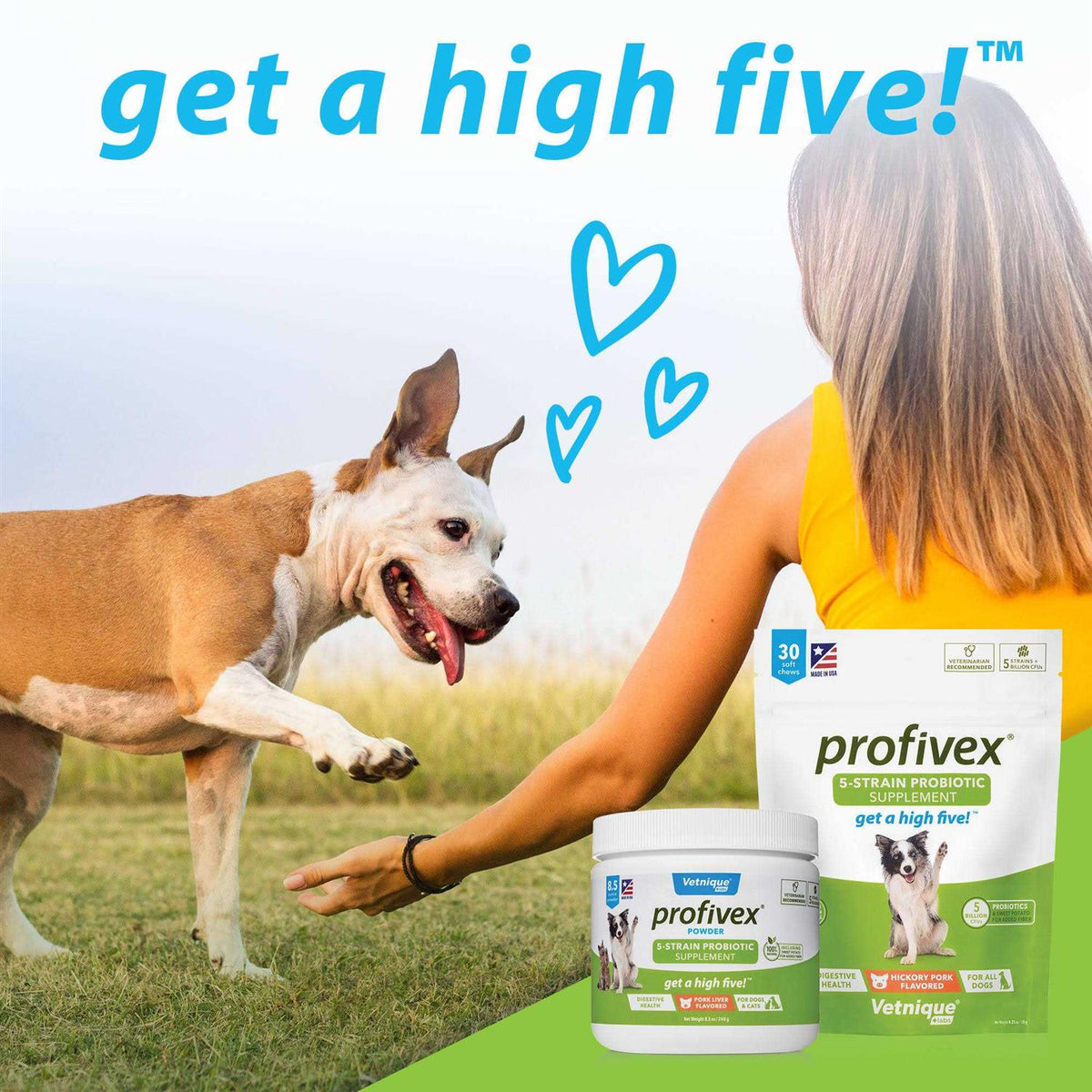 Probiotic Powder for Dogs & Cats T1361