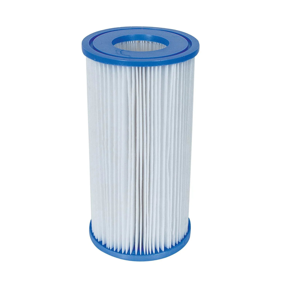 Coleman Type III A/C Swimming Pool Filter Pump Replacement Cartridge (2 Pack) T6260