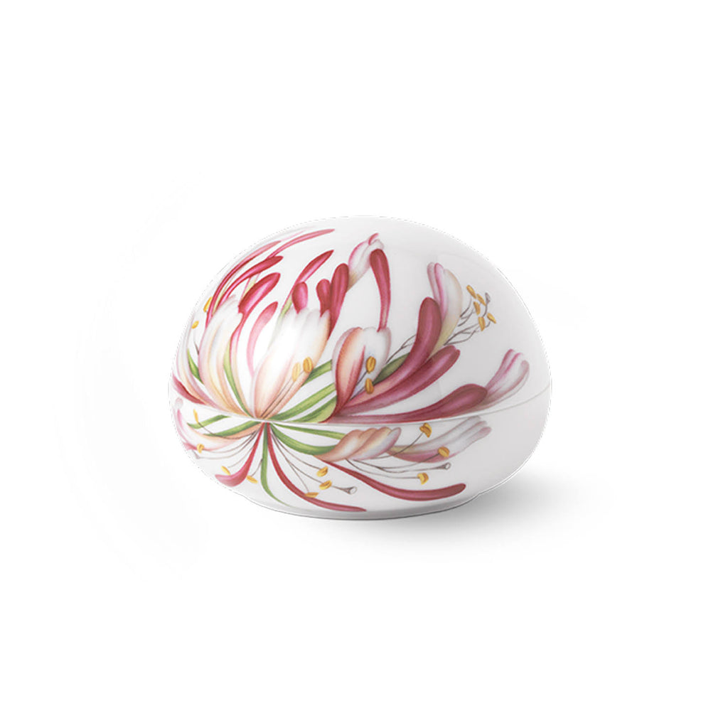 Home Goods S122092