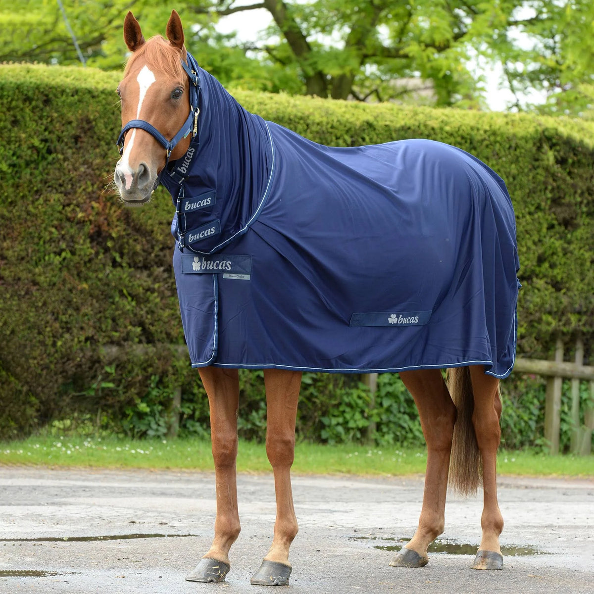 Navy Full Neck Cooler N917961