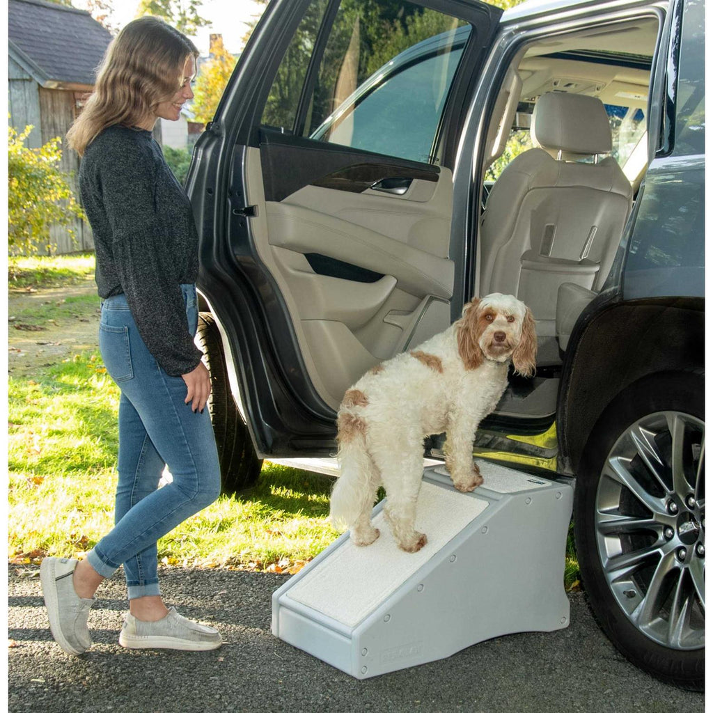Pet Gear Step / Ramp Combination R467