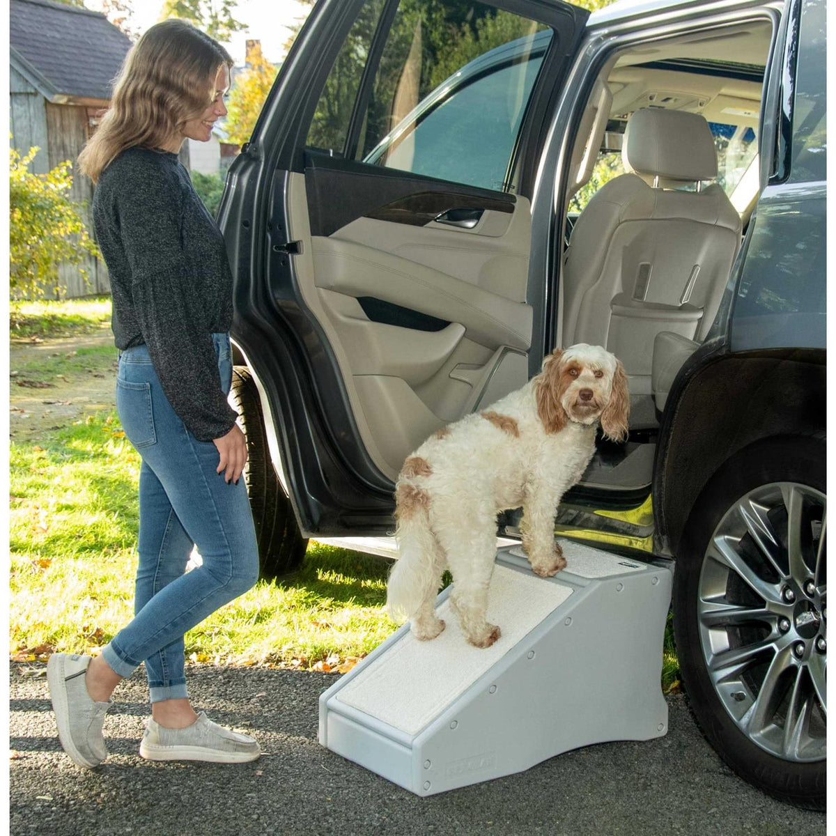 Pet Gear Step / Ramp Combination R467