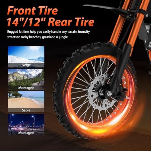 14"/12" Fat Tire 2000W Electric Dirt Bike with 48V 21AH Battery Y800