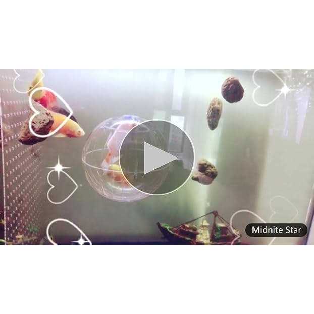 Transparent Hamster Exercise Ball E921903