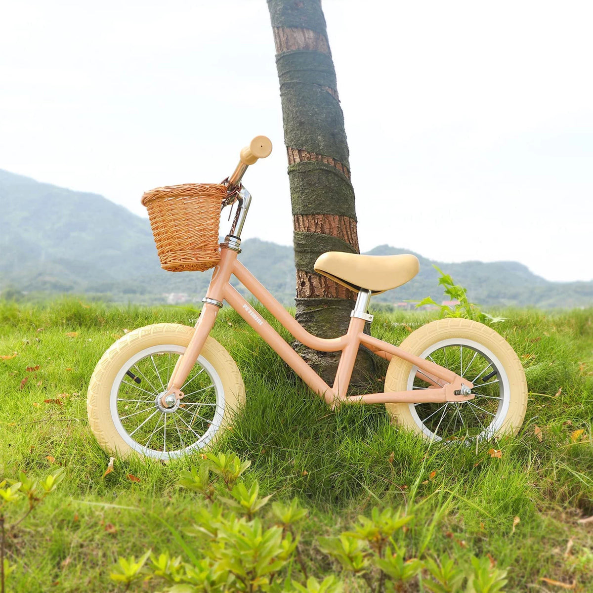 12 Inch Kids Balance Bike with Basket, Peach U886