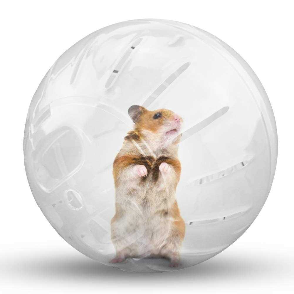 Transparent Hamster Exercise Ball E921903