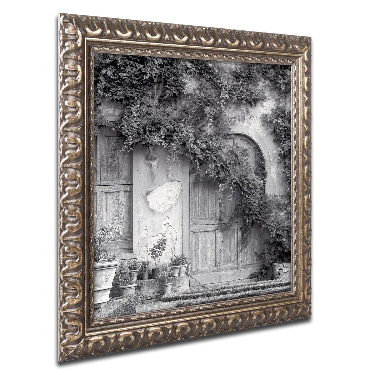 Framed Art Y185