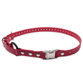 Bungee Collar O832