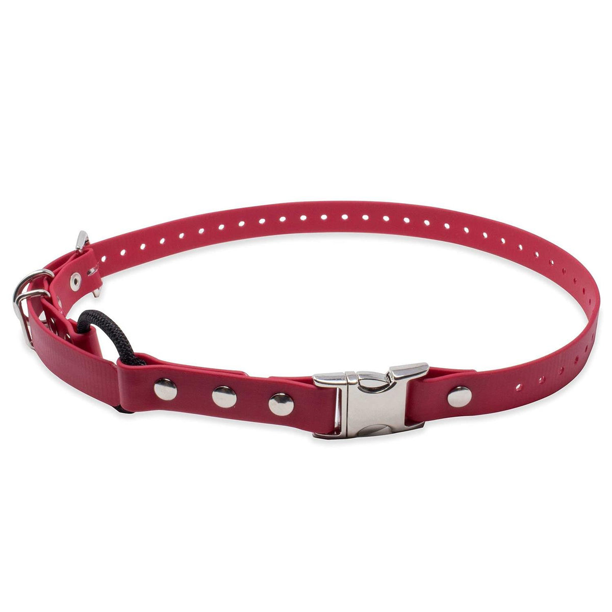 Bungee Collar O832