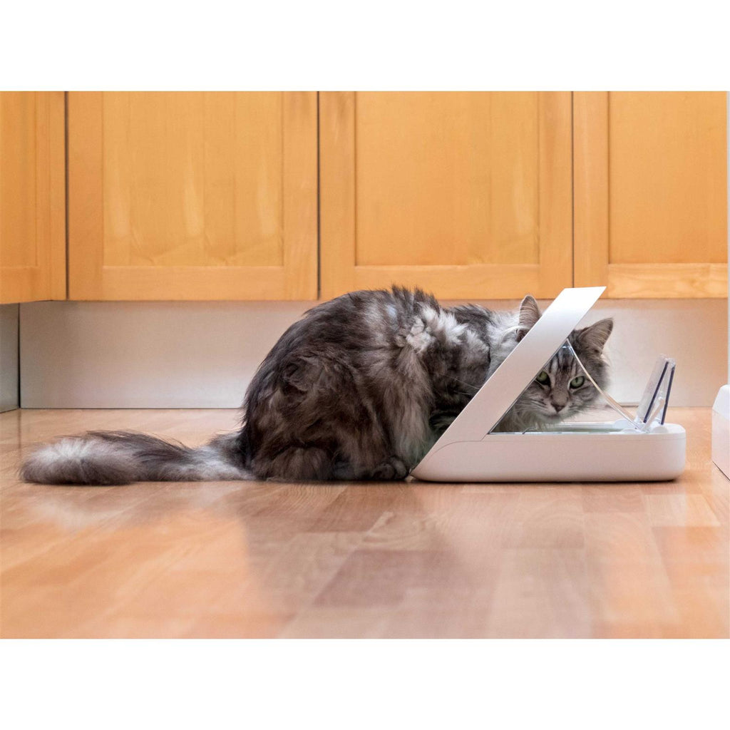 Microchip Pet Feeder Y72179
