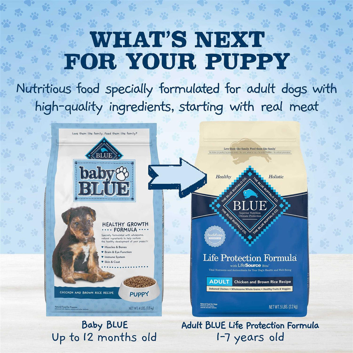 Chicken and Brown Rice Puppy Dry Dog Food L9180