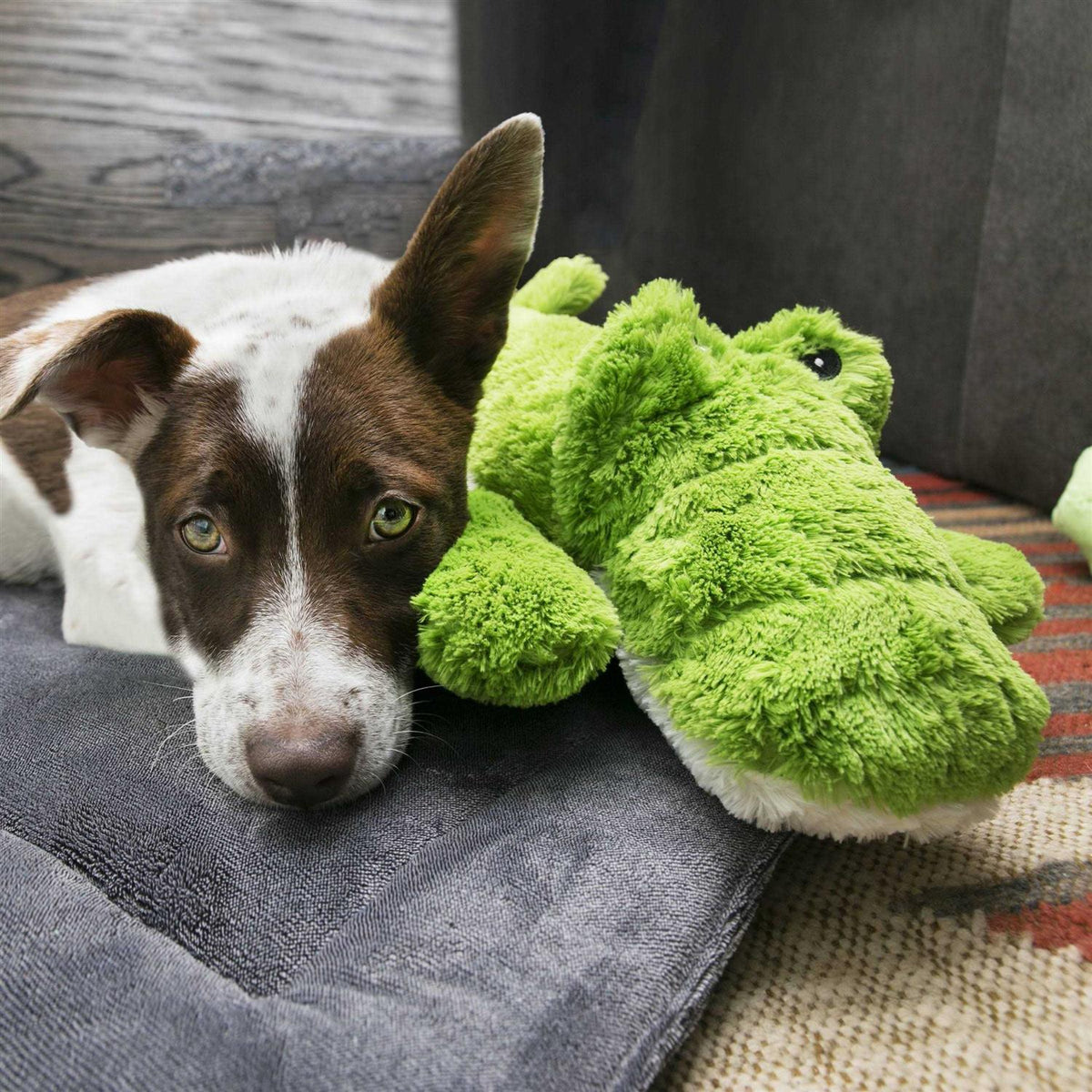 Alligator Dog Toy H5460
