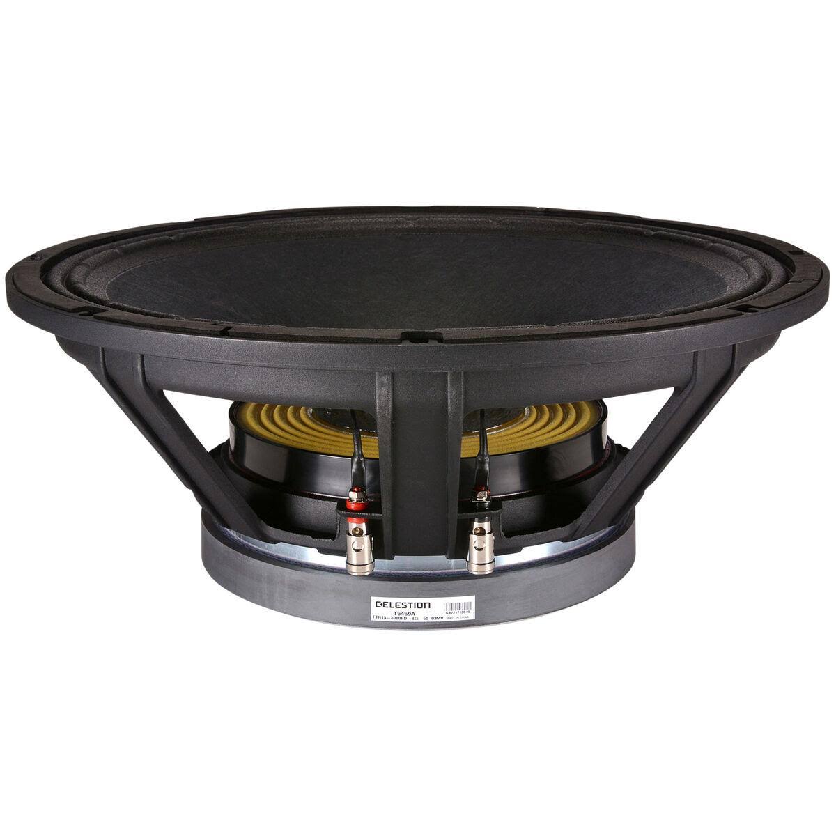 15x22 1000W Raw Frame Speaker C848934