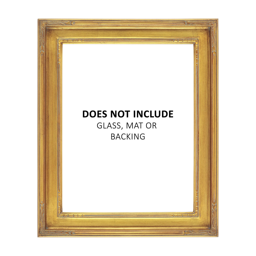 Gold 16x20 Solid Wood Picture Frame L361201