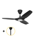 Black Ceiling Fan Y999656
