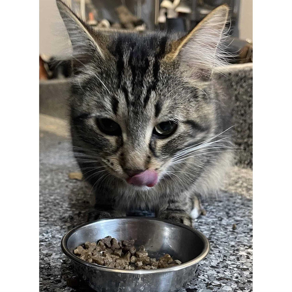 Natural Cat Food M44950