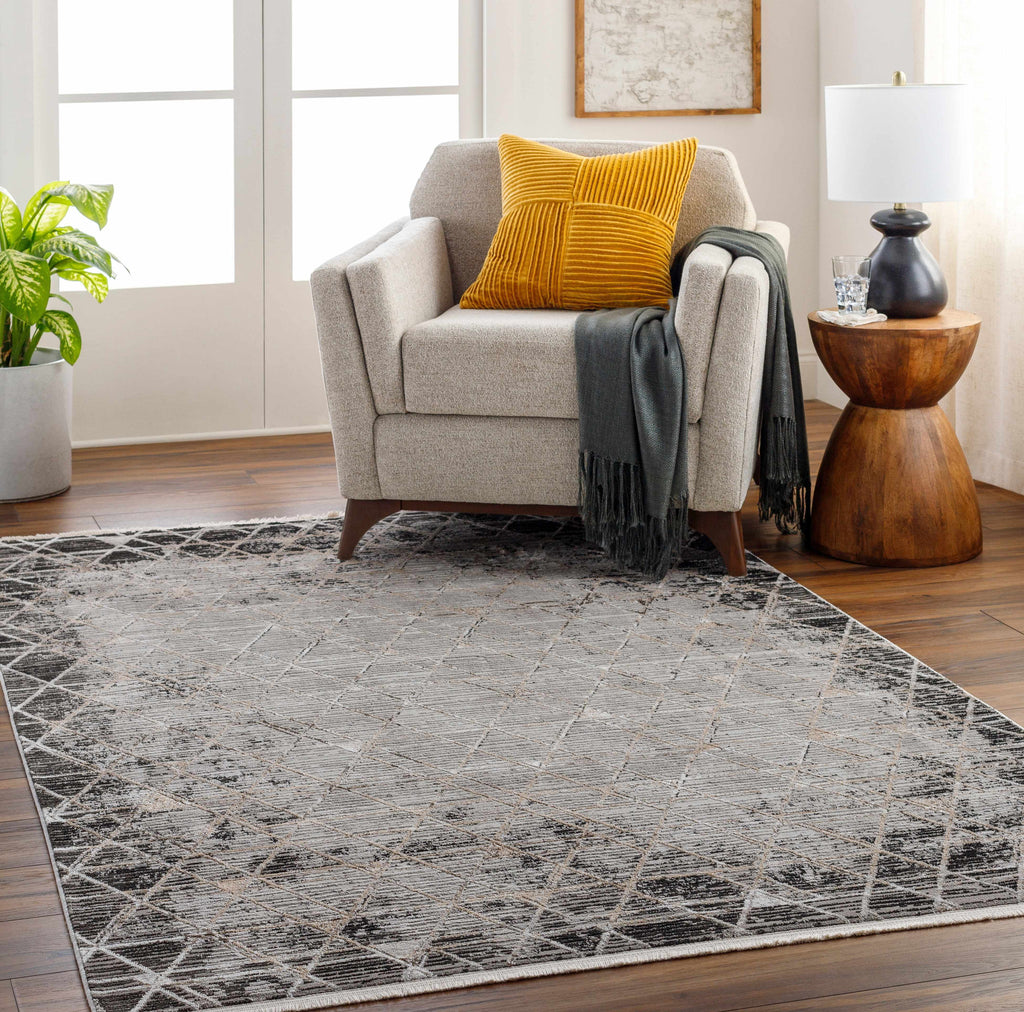 Gray Black 2' x 3' Area Rug F86267