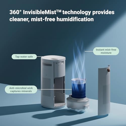Air Purifier for Small Room, Bedroom, Home X82016