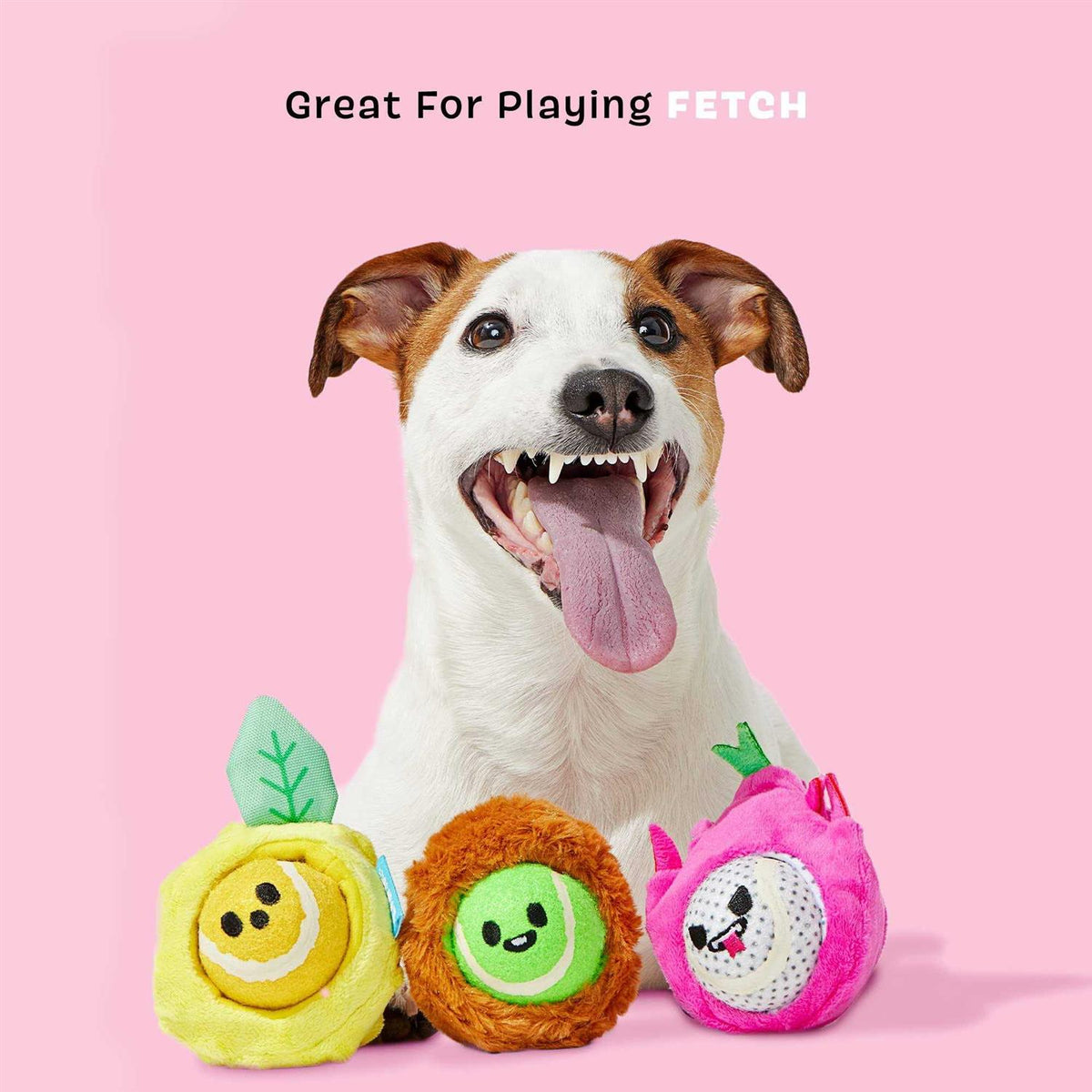 Dog Toys Squeaker Ball Toys H220