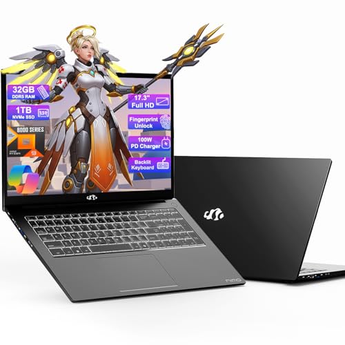 17.3 Gaming Laptop Ryzen 9 32GB RAM 1TB SSD H75099