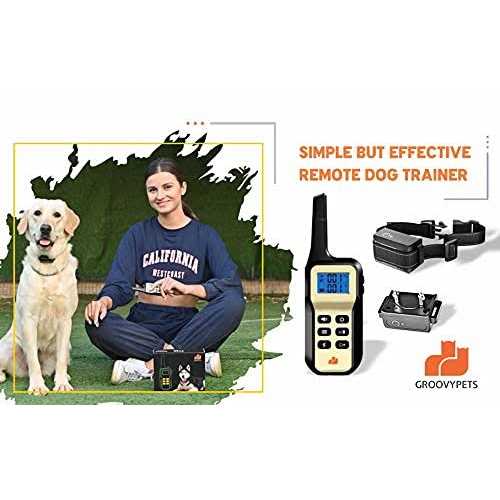 1100 Yard Auto Anti Bark Humane Beep Y210396