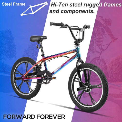 20 Inch Kids BMX Bike P2596