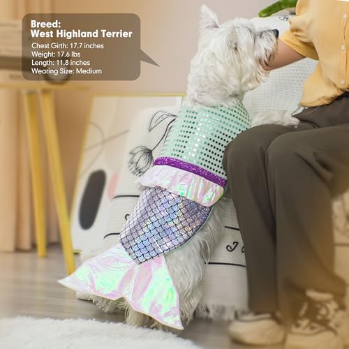 Dog Costumes Size XL W2209